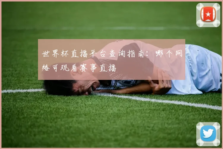 世界杯直播平台查询指南：哪个网络可观看赛事直播