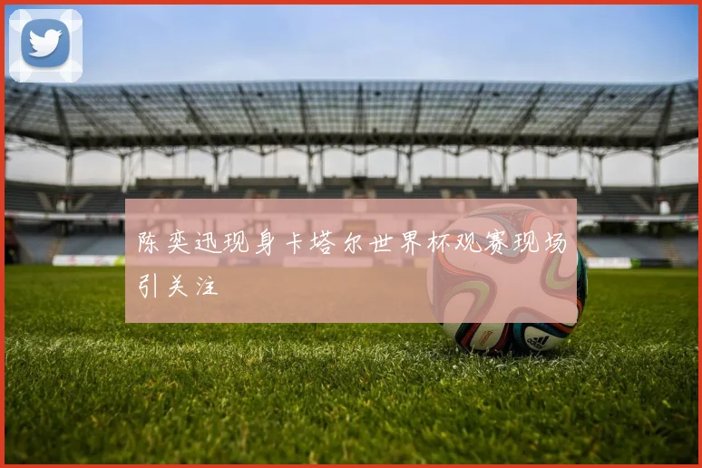 陈奕迅现身卡塔尔世界杯观赛现场引关注