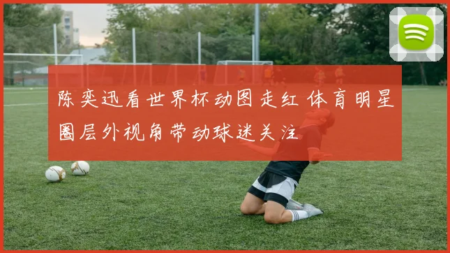 陈奕迅看世界杯动图走红 体育明星圈层外视角带动球迷关注