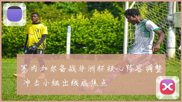 塞内加尔备战非洲杯核心阵容调整 冲击小组出线成焦点